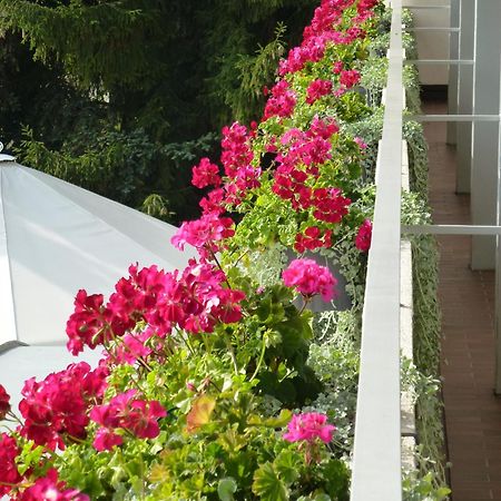 באד זקינגן Hotel Zur Flueh מראה חיצוני תמונה