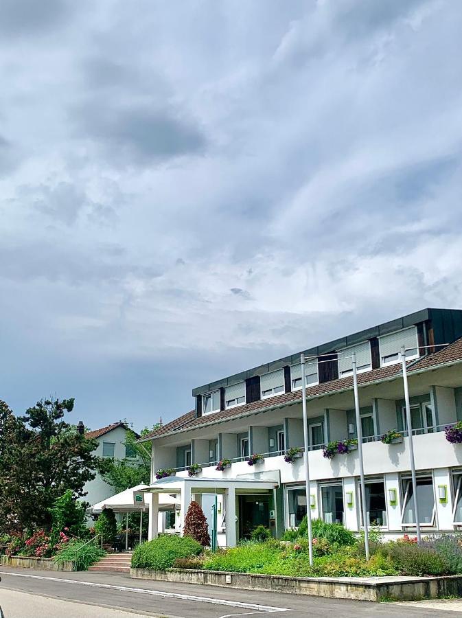 באד זקינגן Hotel Zur Flueh מראה חיצוני תמונה